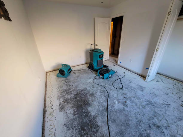 Best 24/7 water damage repair  in Old Forge, PA