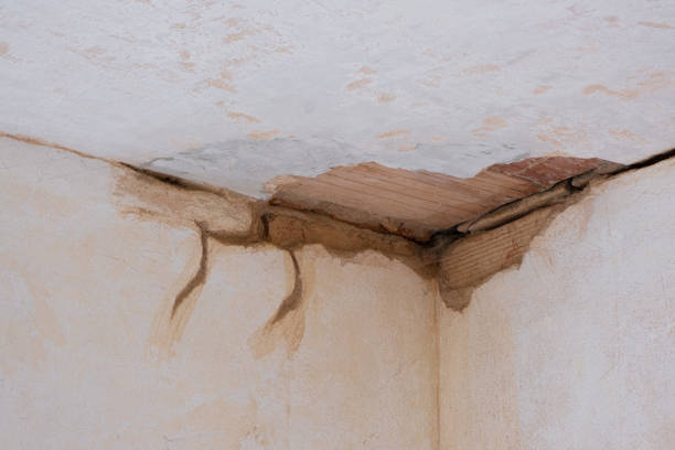 Best Fire Damage Restoration  in Old Forge, PA