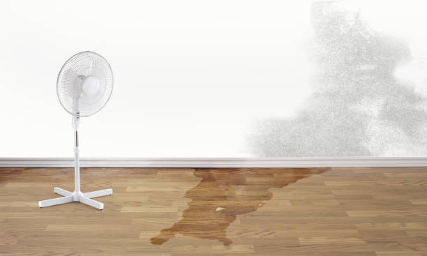 Best Sewage cleanup and water damage restoration  in Old Forge, PA