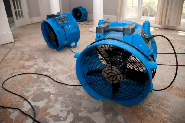 Best Flood restoration services  in Old Forge, PA