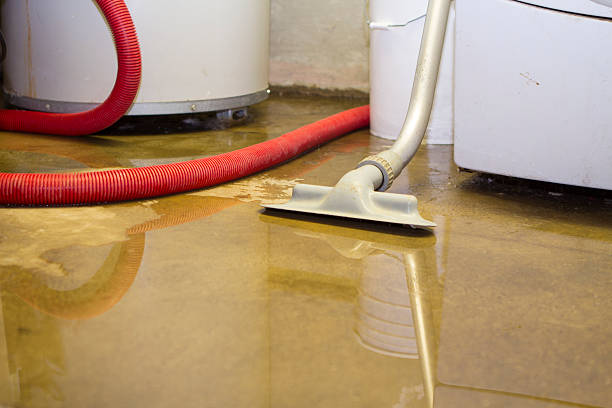 Best Water damage contractors near me  in Old Forge, PA