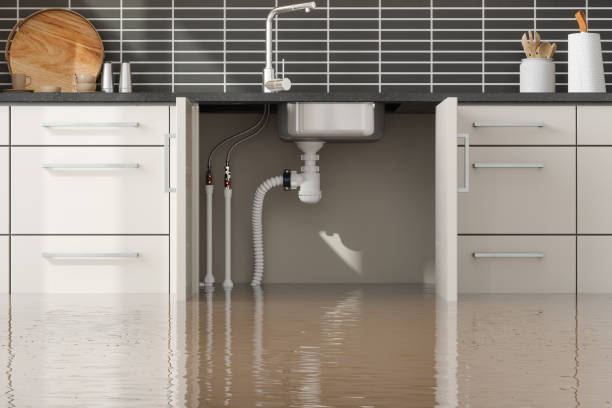 Best Ceiling water damage repair  in Old Forge, PA