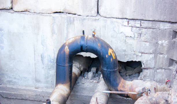 Best Professional water damage repair  in Old Forge, PA