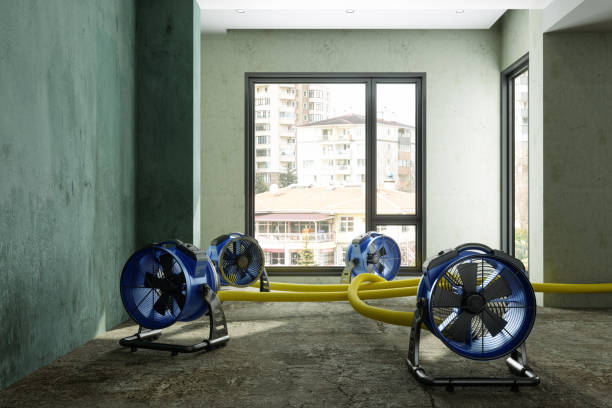 Best Emergency water damage restoration  in Old Forge, PA
