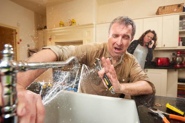 Best Flooded house restoration  in Old Forge, PA